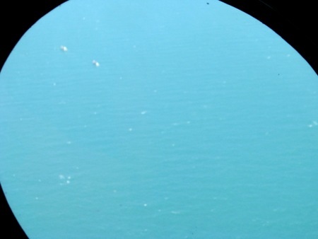 Phát hiện đốm trắng khác lạ gần đảo Thổ Chu