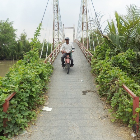 Cỏ dại ngày càng mọc vây kín đường lên xuống cầu gây choáng tầm mắt người lưu thông.