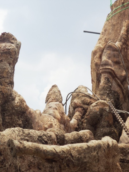 Cận cảnh gốc bàng đá 400 năm tuổi.