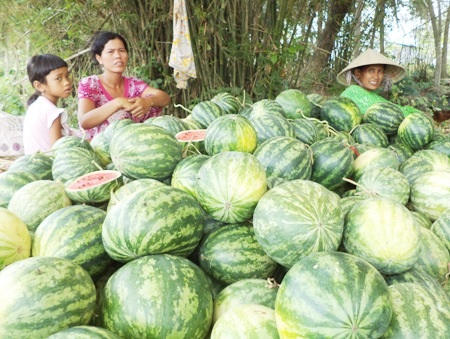 Mẹ con chị Na Vi não nề vì dưa ế.