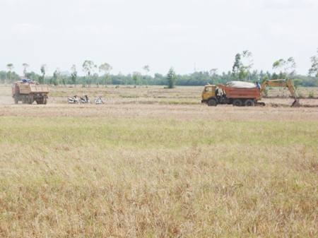 Khai thác đất mặt ruộng ở Sóc Trăng.