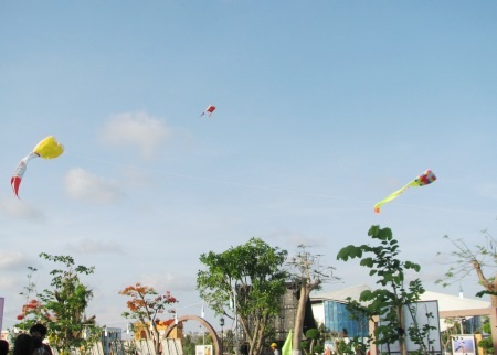 Festival góp phần đưa nghệ thuật đờn ca tài tử tỏa sáng - 10 Thả diều nghệ thuật.