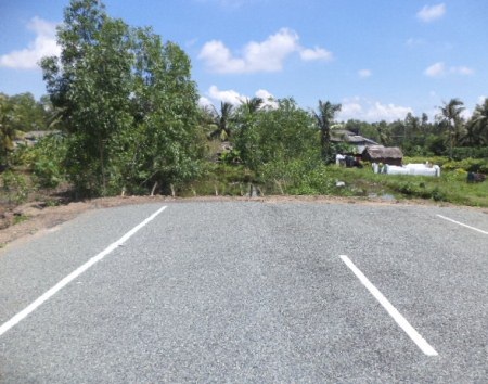 ...nhưng dưới chân cầu là bát ngát ruộng vườn nhà dân chứ không có đường đi.