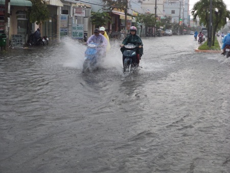 Đường thành rông.