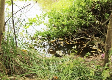 Hiện trường nơi cháu Tấn tử vong.