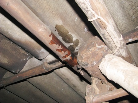 ....và đã hư hại, dột nát khắp nơi.