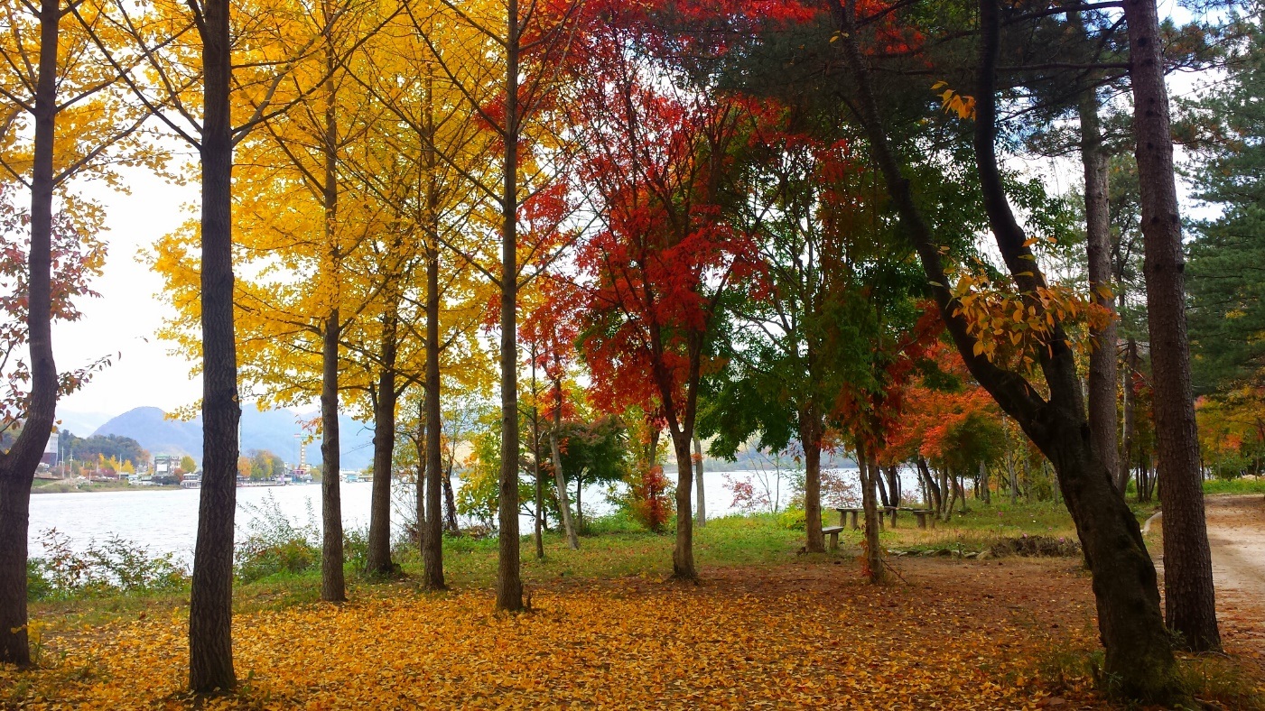 Cơ hội cuối sở hữu tấm vé giá chỉ 0 đồng du lịch Hàn Quốc - 4 Vẻ lãng mạn của Seoul… Liệu bạn có thể chối từ?