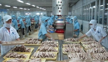 Mỏ vàng 40 tỷ USD tại Việt Nam có tên là thực phẩm - 1 Mỏ vàng 40 tỷ USD tại Việt Nam có tên là thực phẩm