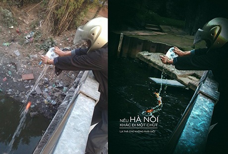 Là thả cá chứ không phải giết