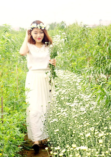 Chọn cho mình bộ váy trắng, cô nữ sinh trường Báo hiện lên trong sáng, dịu dàng bên cúc họa mi