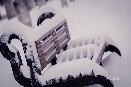 Ghế đá công viên cô đơn dưới tuyết