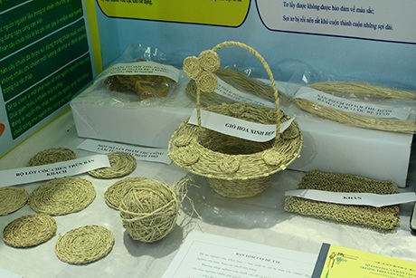 Sản xuất tơ sợi từ thân cây chuối của Trường THPT Vân Tảo (Thường Tín).