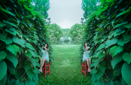 Kêu gọi “Hãy đọc sách” bằng bộ ảnh thú vị