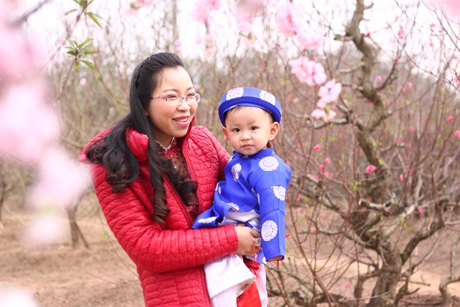 Các gia đình cũng tận dụng khoảng thời gian này để đưa con đi chơi ở vườn đào