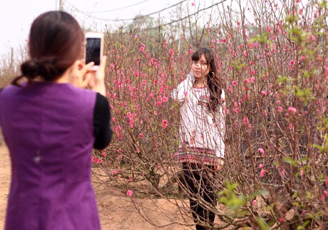 Giới trẻ Hà thành đổ xô ra vườn đào chụp ảnh trong những ngày nghỉ Tết dương lịch