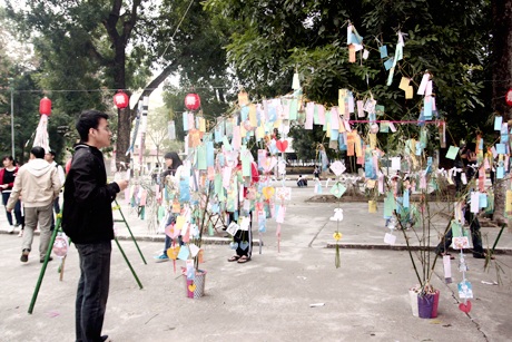 Khá đông các bạn trẻ đã ghi và treo ước nguyện trong năm mới của mình lên cây điều ước