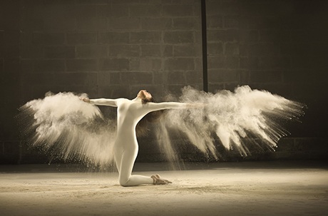 Độc đáo bộ ảnh “Đôi cánh trắng” của nhiếp ảnh gia người Bỉ - 5 Một số tác phẩm khác mà nhiếp ảnh gia này đã thực hiện