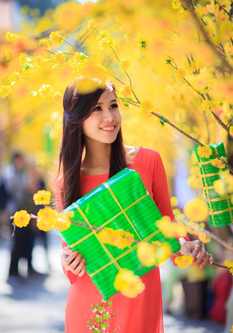 Cô nàng Vân Trang rạng rỡ chụp ảnh bên hoa mai và bánh chưng xanh.