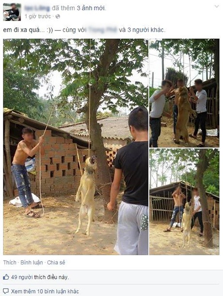 Dân mạng phẫn nộ vì ba thanh niên đánh chó dã man - 1 Hình ảnh được chia sẻ trên mạng khiến nhiều người phẫn nộ