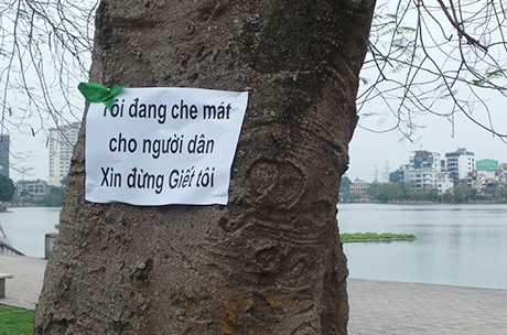 Dòng thông điệp trên cây xanh bên Hồ Tây