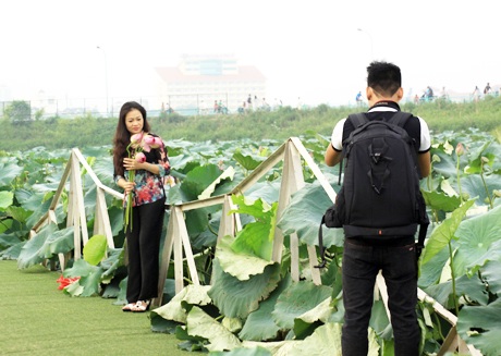 Nhiều lớp sinh viên tại Hà Nội cũng tìm đến đầm sen và thực hiện cho mình bộ ảnh kỷ yếu