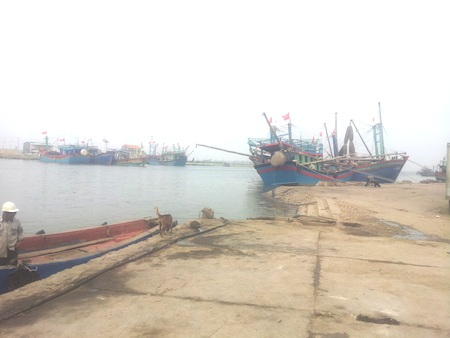 Ẩn họa với người dân sống trên những bể chứa dầu - 1 Cảng cá Lạch Quèn đang đối mặt với dầu ô nhiễm.