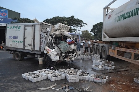 Xe chở cá nát đầu, cá văng vung vãi trên đường.