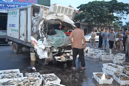 Xe chở cá nát đầu, cá văng vung vãi trên đường.