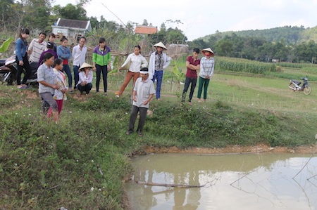 Ao cá gần nhà - nơi hai cháu nhỏ chết đuối.