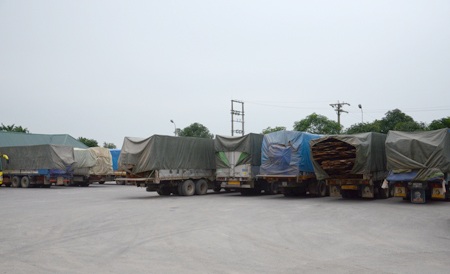 Đoàn xe 21 chiếc chở quá tải bị bắt (Ảnh: T.A)