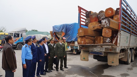 Buộc hạ tải 21 xe chở gỗ từ Lào về Việt Nam - 6 Sáng ngày 14/11, ông Nguyễn Hồng Kỳ - Giám đốc Sở GVTT cùng Kiểm lâm Nghệ An có mặt kiểm tra.