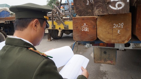 Buộc hạ tải 21 xe chở gỗ từ Lào về Việt Nam - 8 Tiến hành kiểm tra số gỗ trong hồ sơ lưu.