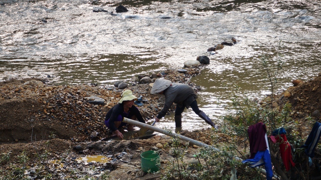 Dòng Nậm Huống bị đào bới rất nhiều chỗ, từ giữa lòng hoặc cạnh các bụi cây.