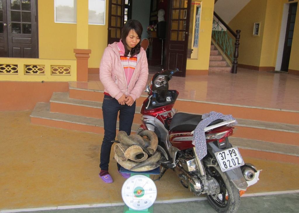 Bắt phụ nữ vận chuyển 10kg nghi sừng bò tót - 1 Đối tượng cùng tang vật tại Đội CSGT1-48.