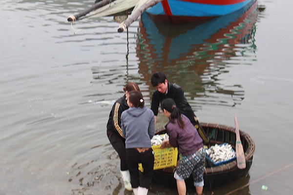 Ngư dân được mùa lộc biển đầu năm mới - 10 Niềm vui của các ngư dân trong những ngày đầu năm mới.