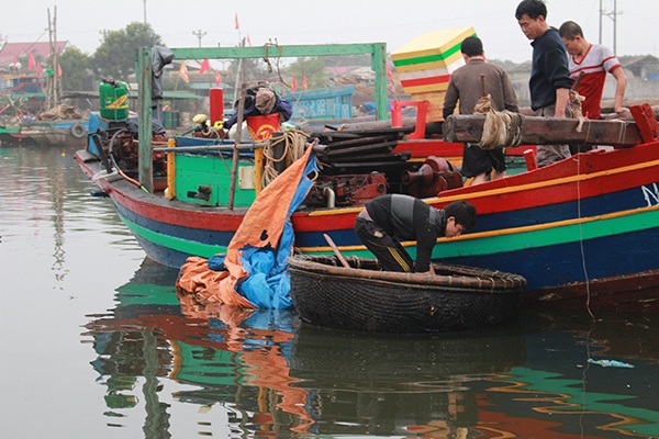 Ngư dân được mùa lộc biển đầu năm mới - 1 Ngư dân được mùa lộc biển đầu năm mới