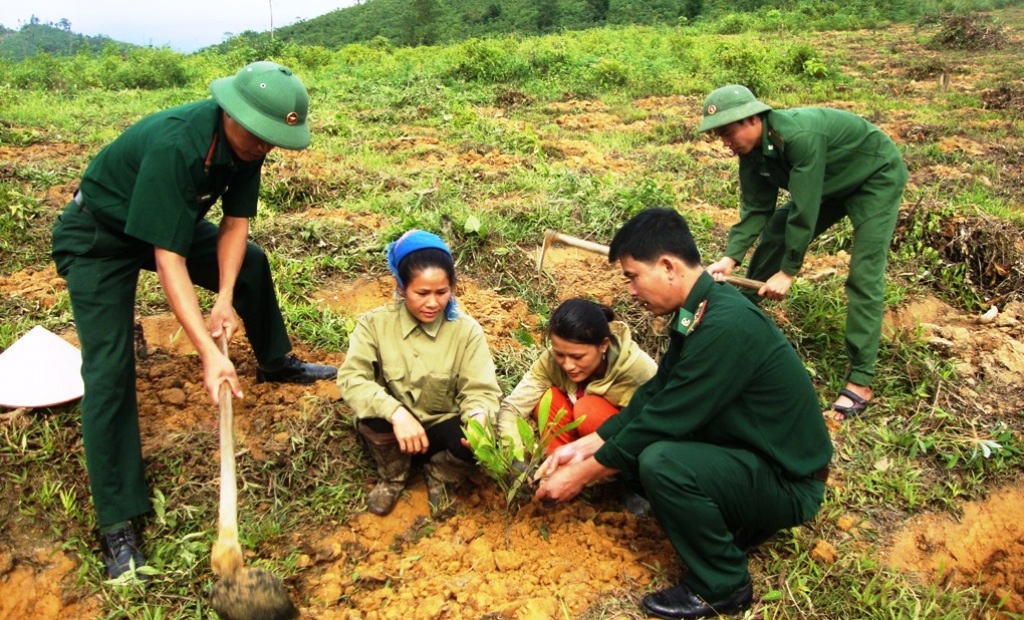 Chiến sỹ BĐBP giúp nhân dân trồng cây keo.