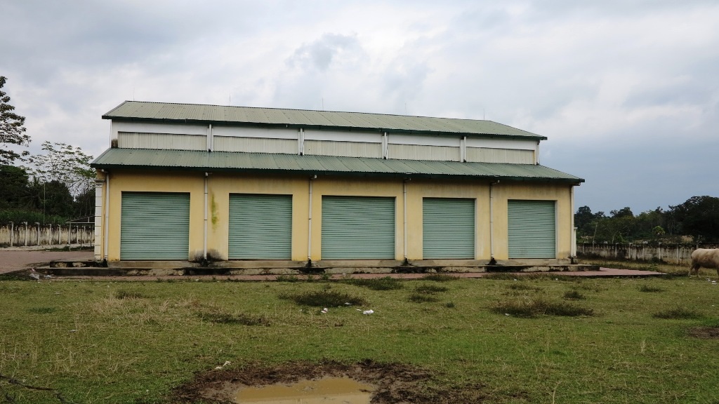 Khu chợ nhiều tiền giờ trở thành cỏ hoang mọc, có những vũng bị trâu bò đằm.