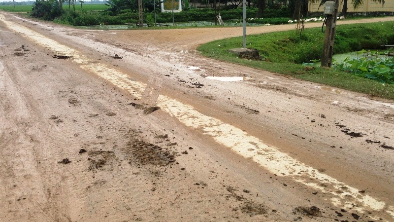 Phân rơi vãi dọc đường, gây ô nhiễm môi trường.