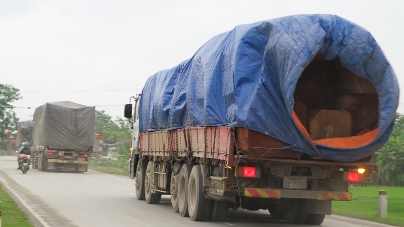 Đoàn 8 xe do lực lượng CSGT 1-7 dẫn giải về bến xe Đô Lương (Ảnh: Nguyễn Tình).