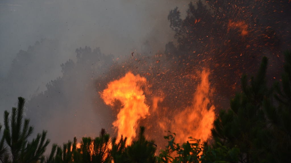 Do trời vào buổi chiều gió to nên ngọn lửa cháy càng lớn hơn.