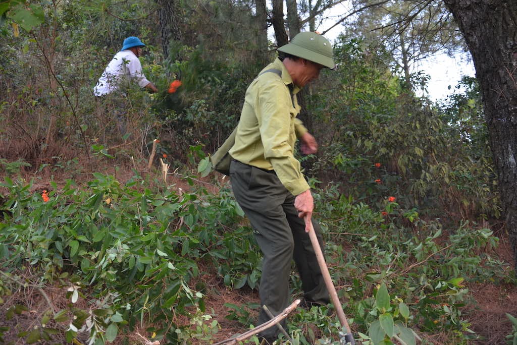 Do trời vào buổi chiều gió to nên ngọn lửa cháy càng lớn hơn.