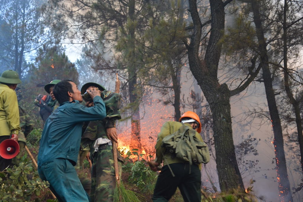 Nỗ lực dập đám cháy khiến nhiều người khát nước dừng nghỉ uống.