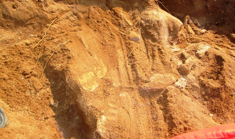 Một phần xương lớn lộ ra.