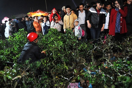 “Biển người” cầu may thâu đêm ở chợ Viềng - 3 Nam thanh nữ tú ra chợ hoa cây cảnh mua lộc đầu năm cầu may mắn.