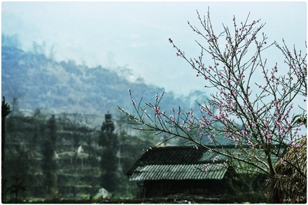 Nguyễn Mạnh Đức