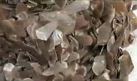 Bắt giữ hơn 1 tấn vẩy tê tê ngụy trang cá trích khô nhập khẩu từ Châu Phi - 1 1,4 tấn vẩy tê tê bị bắt giữ ước tính được lấy từ khoảng 10.000 con tê tê bị giết thịt.