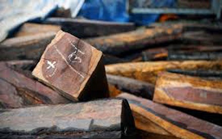 Băng xã hội đen đất Kinh Bắc cưỡng đoạt tàn bạo các thương nhân gỗ - 2 Các hoạt động buôn bán gỗ tại chợ gỗ Phù Khê đều bị băng nhóm Minh sâm khống chế điều hành.