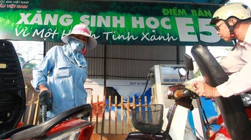 Tiêu thụ xăng sinh học E5 sẽ “bùng nổ” - 1 Tiêu thụ xăng sinh học E5 sẽ “bùng nổ”