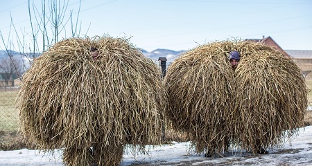 Mặt trời mọc trên Cầu Cổng Vàng, San Francisco, California hôm 13/1. (Ảnh: